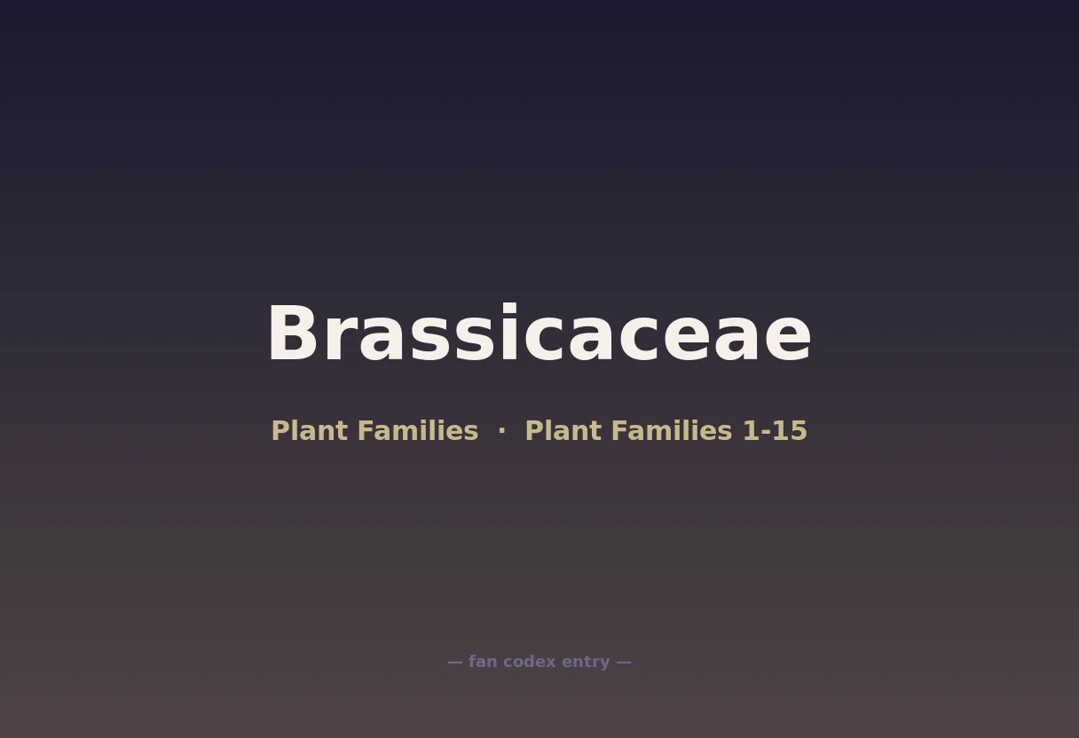 Brassicaceae