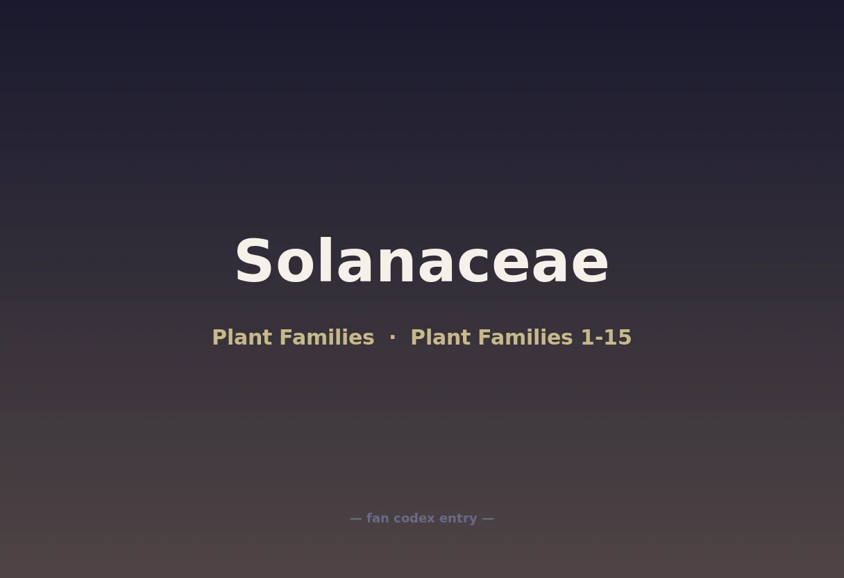 Solanaceae