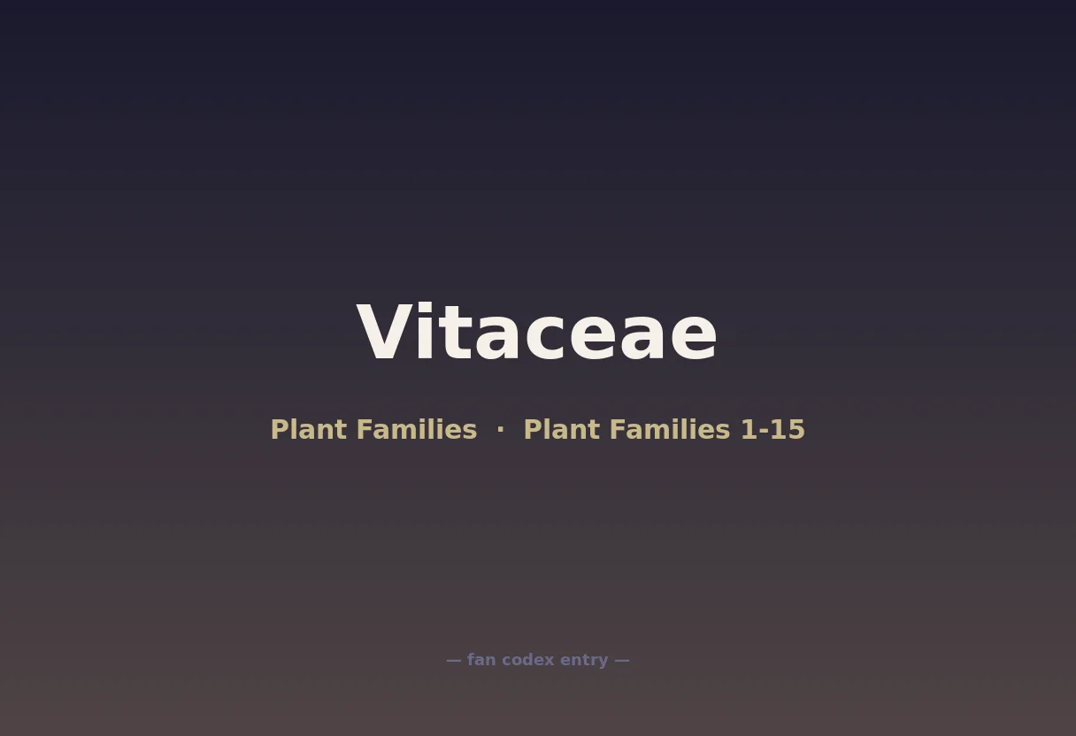 Vitaceae